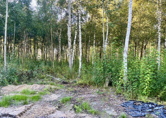 Продам участок 9,5 соток, Фермерское хоз., Гоголя ул, Павловск г, 0 км от города