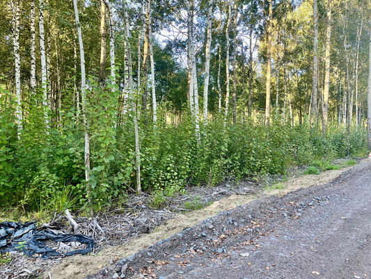 Продам участок 9,5 соток, Фермерское хоз., Гоголя ул, Павловск г, 0 км от города