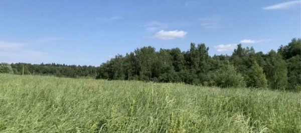 Продам участок 7,4 соток, ИЖС, Левково д, 0 км от города
