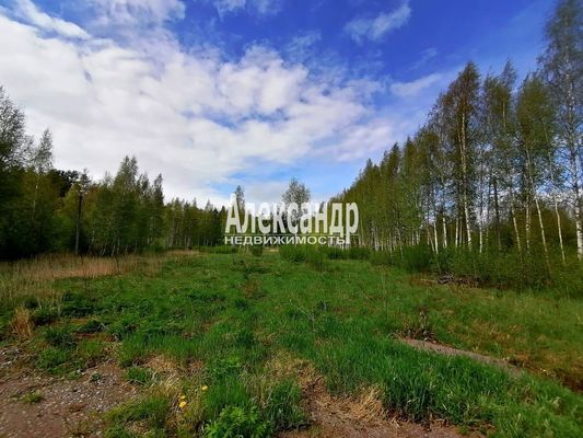 Продам участок 10 соток, Садоводство, ДНП Северное раздолье тер, 131 км от города