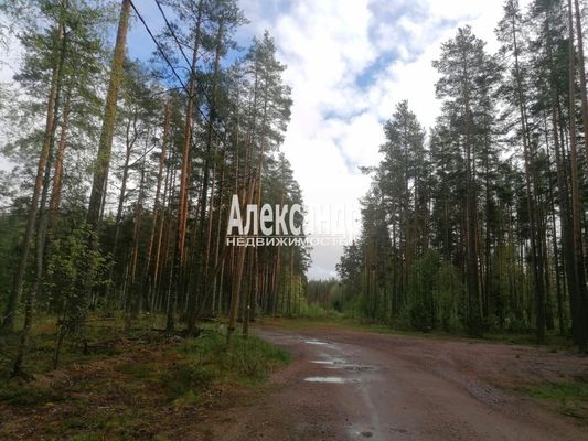 Продам участок 10 соток, Садоводство, ДНП Северное раздолье тер, 131 км от города