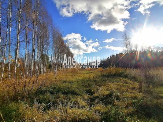 Продам участок 10 соток, Садоводство, ДНП Северное раздолье тер, 131 км от города