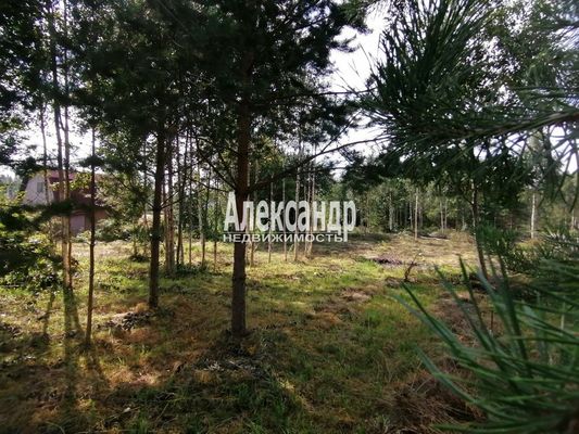 Продам участок 10 соток, Садоводство, ДНП Северное раздолье тер, 131 км от города