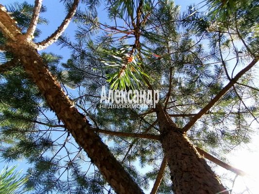 Продам участок 10 соток, Садоводство, ДНП Северное раздолье тер, 131 км от города