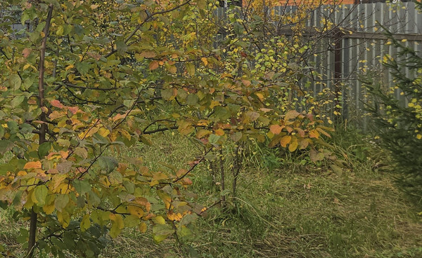 Продам участок 6 соток, ИЖС, Спортивная ул, Марушкино д, 0 км от города