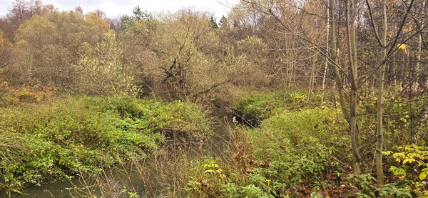 Продам участок 8,2 соток, ИЖС, Бурцево д, 0 км от города