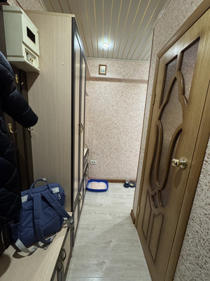 Продам трехкомнатную (3-комн.) квартиру, Ясная ул, 1, Новые Дарковичи п