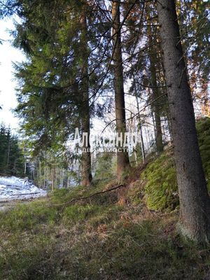 Продам дом, Нива п, 190 км от города