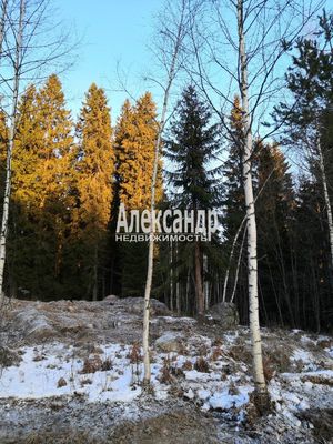 Продам дом, Нива п, 190 км от города