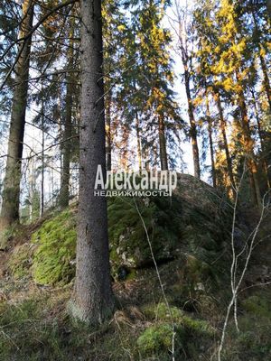 Продам дом, Нива п, 190 км от города