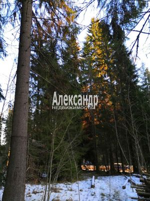 Продам дом, Нива п, 190 км от города