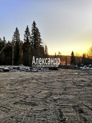 Продам дом, Нива п, 190 км от города