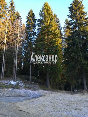 Продам дом, Нива п, 190 км от города