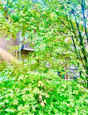 Продам однокомнатную (1-комн.) квартиру, Кооперативная (Торфяное тер.) ул, 8, Парголово п