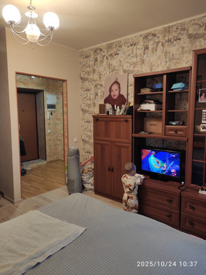 Продам однокомнатную (1-комн.) квартиру, Чапаева ул, 25, Казань г