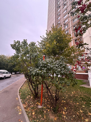 Продам многокомнатную квартиру, Маршала Захарова ул, 6к3, Москва г