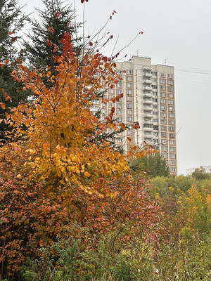 Продам многокомнатную квартиру, Маршала Захарова ул, 6к3, Москва г