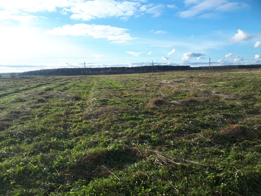 Продам участок 2 соток, ИЖС, Большое Рейзино д, 0 км от города