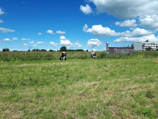 Продам участок 2 соток, ИЖС, Большое Рейзино д, 0 км от города