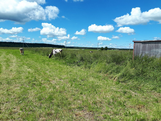 Продам участок 2 соток, ИЖС, Большое Рейзино д, 0 км от города