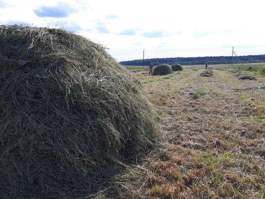 Продам участок 2 соток, ИЖС, Большое Рейзино д, 0 км от города