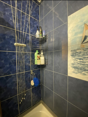 Продам трехкомнатную (3-комн.) квартиру, Черкасова ул, 4к1, Санкт-Петербург г