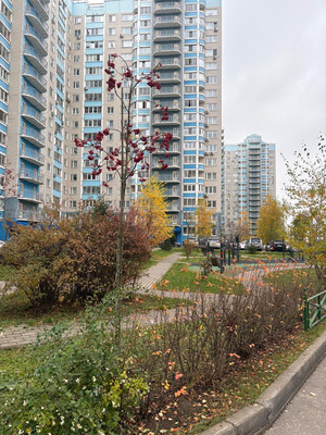 Продам однокомнатную (1-комн.) квартиру, Березовая ул, 12, Видное г