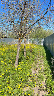 Продам участок 9 соток, Фермерское хоз., Патрикеево д, 0 км от города