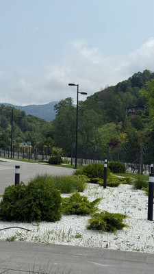 Продам однокомнатную (1-комн.) квартиру, Искры (Адлерский р-н) ул, 88к3, Сочи г