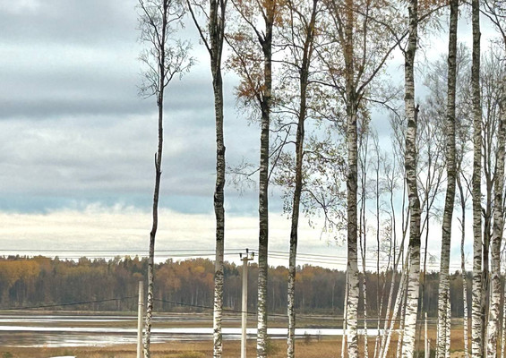 Продам дом, Новое Токсово п, 0 км от города