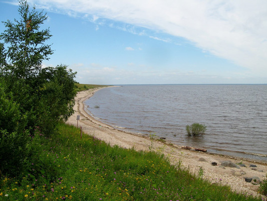 Продам участок 13,5 соток, ИЖС, Озёрная ул, Коростынь д, 0 км от города