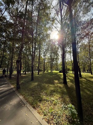Продам однокомнатную (1-комн.) квартиру, Олонецкий проезд, 12, Москва г