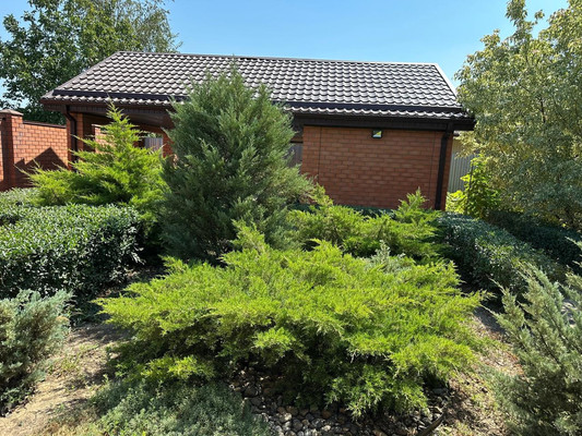 Продам дом, Парамонов х, 0 км от города