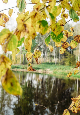 Продам участок 6 соток, Садоводство, Левково д, 0 км от города