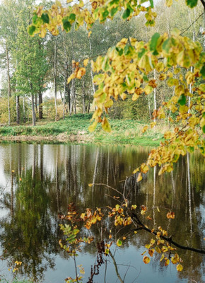 Продам участок 6 соток, Садоводство, Левково д, 0 км от города