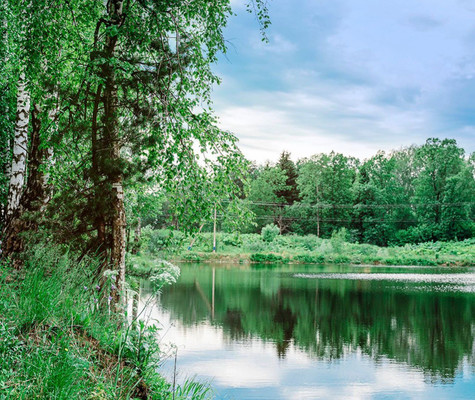 Продам участок 6 соток, Садоводство, Левково д, 0 км от города