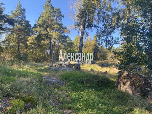 Продам участок 25 соток, ИЖС, Остров п, 140 км от города