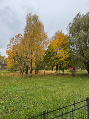 Продам однокомнатную (1-комн.) квартиру, Батальная ул, 94, Калининград г