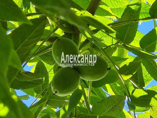 Продам дом, Яблоневая ул, 14А, Кривко д, 65 км от города