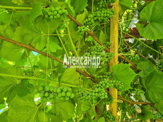 Продам дом, Яблоневая ул, 14А, Кривко д, 65 км от города