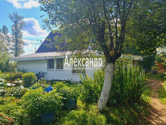 Продам дом, Яблоневая ул, 14А, Кривко д, 65 км от города