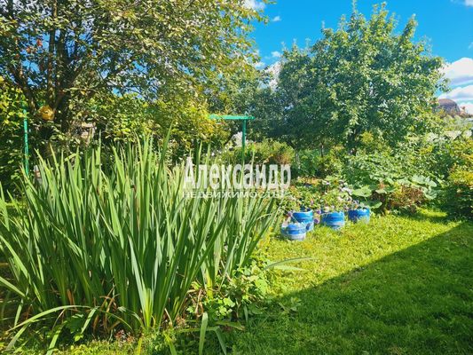 Продам дом, Яблоневая ул, 14А, Кривко д, 65 км от города