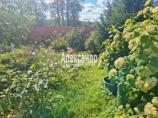 Продам дом, Яблоневая ул, 14А, Кривко д, 65 км от города