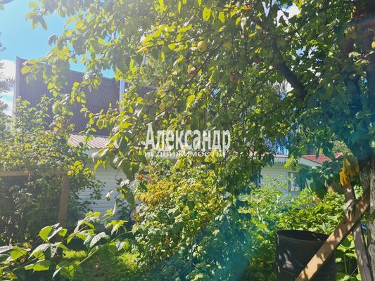 Продам дом, Яблоневая ул, 14А, Кривко д, 65 км от города