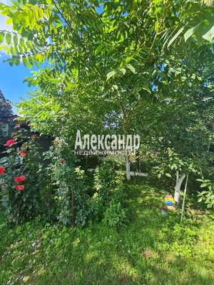 Продам дом, Яблоневая ул, 14А, Кривко д, 65 км от города