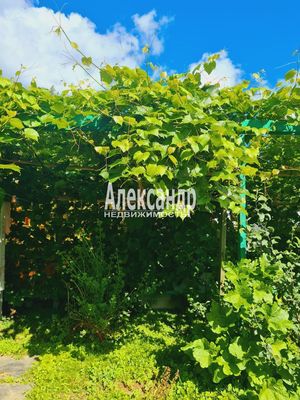 Продам дом, Яблоневая ул, 14А, Кривко д, 65 км от города