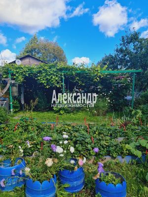 Продам дом, Яблоневая ул, 14А, Кривко д, 65 км от города