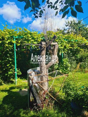 Продам дом, Яблоневая ул, 14А, Кривко д, 65 км от города