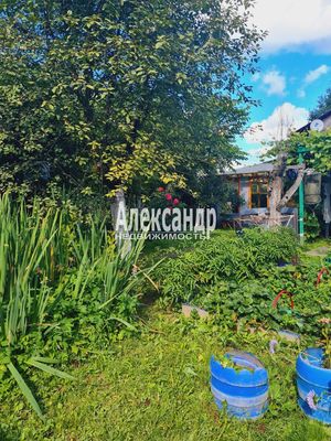 Продам дом, Яблоневая ул, 14А, Кривко д, 65 км от города