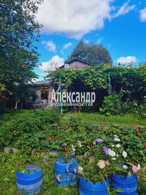 Продам дом, Яблоневая ул, 14А, Кривко д, 65 км от города